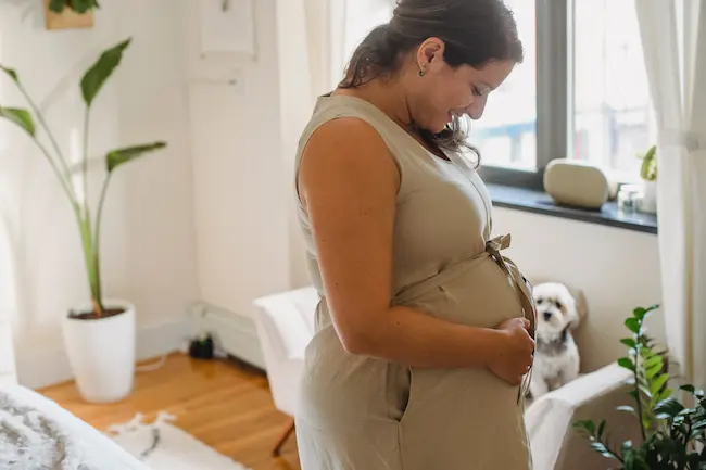 Femme enceinte de profil qui regarde et touche son ventre
